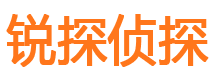 琼结市私家侦探